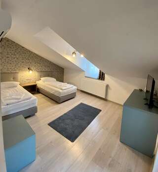 Гостевой дом Adi&Nicol Сибиу Улучшенный двухместный номер с 2 отдельными кроватями-2